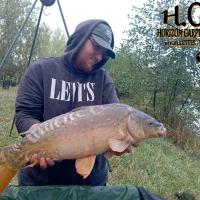 FABRICE MIMAULT - CLIENT HCC