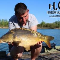 GUILLAUME FERDINAND - TEAM HCC ILE DE FRANCE