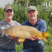 HUGO FASQUELLE - CONSULTANT HCC