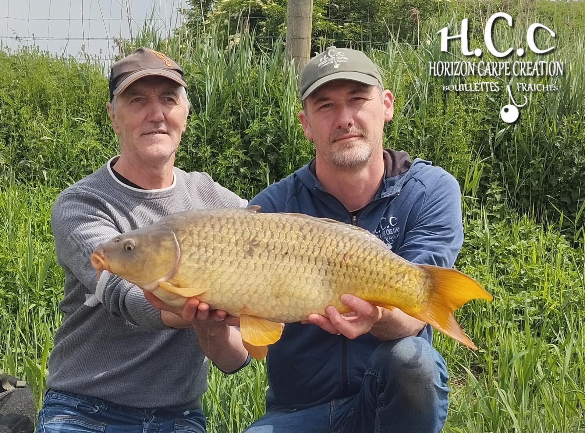 HUGO FASQUELLE - CONSULTANT HCC