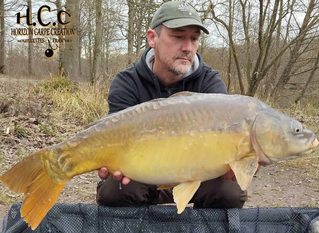 HUGO FASQUELLE - CONSULTANT HCC