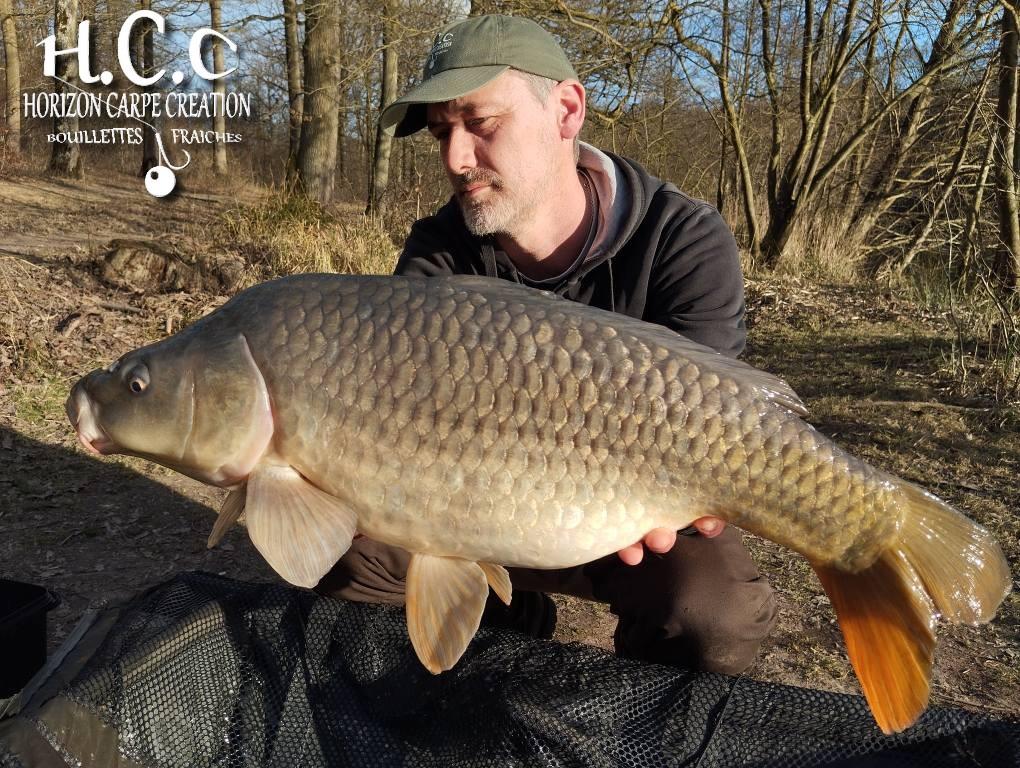 HUGO FASQUELLE - CONSULTANT HCC