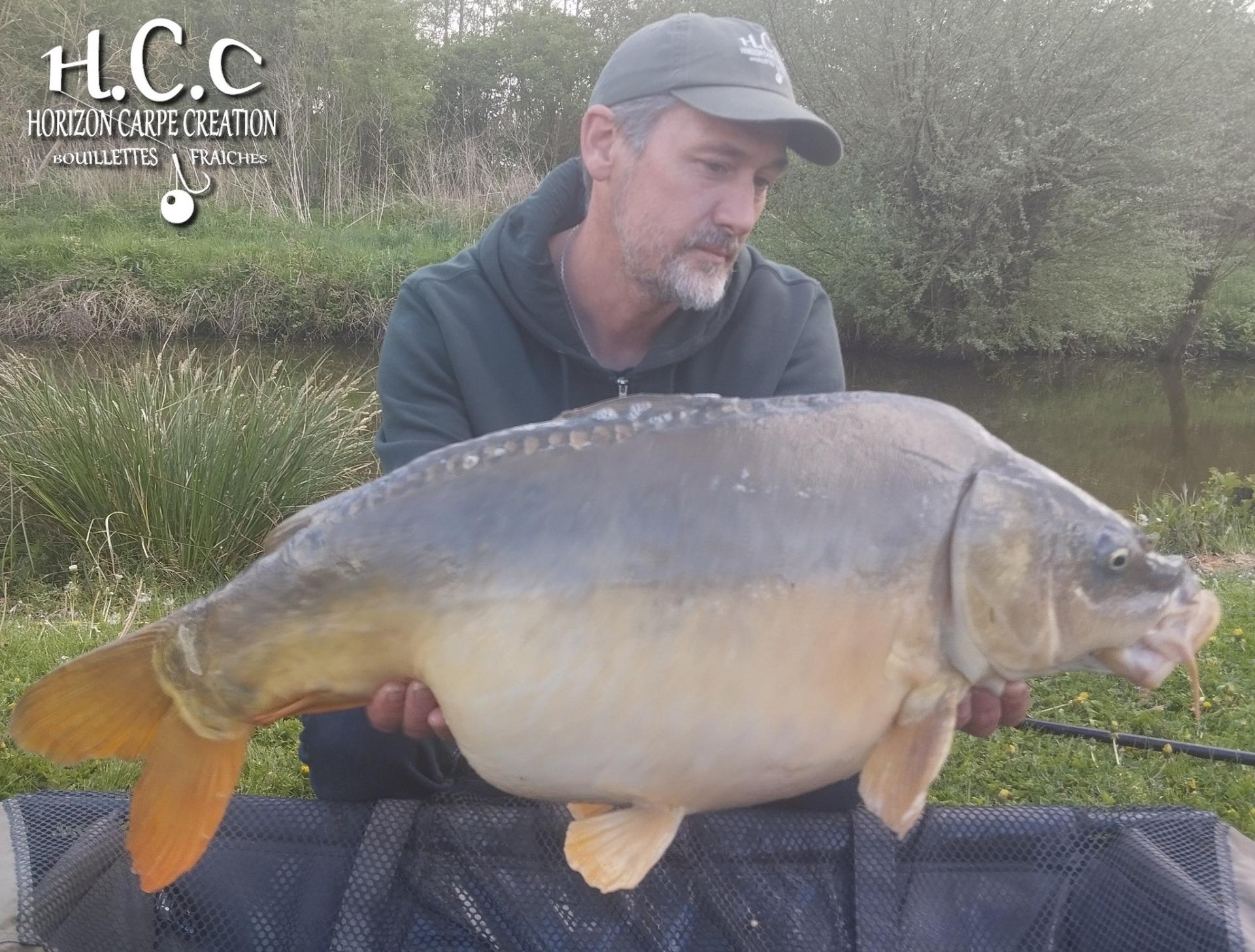 HUGO FASQUELLE - CONSULTANT HCC