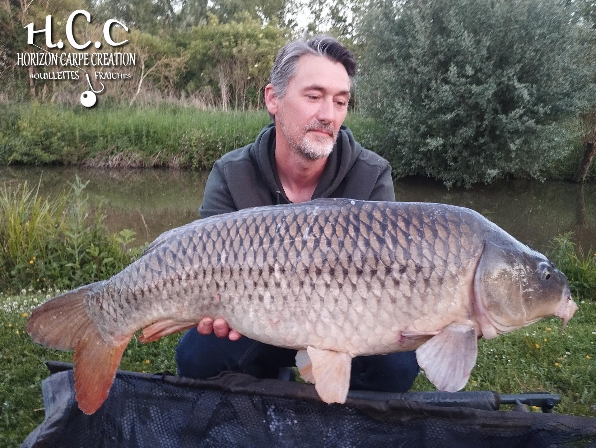 HUGO FASQUELLE - CONSULTANT HCC