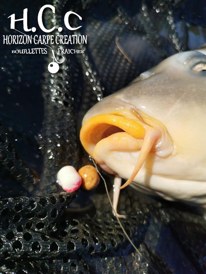 JOHAN MALLET - TEAM JUNIOR HCC