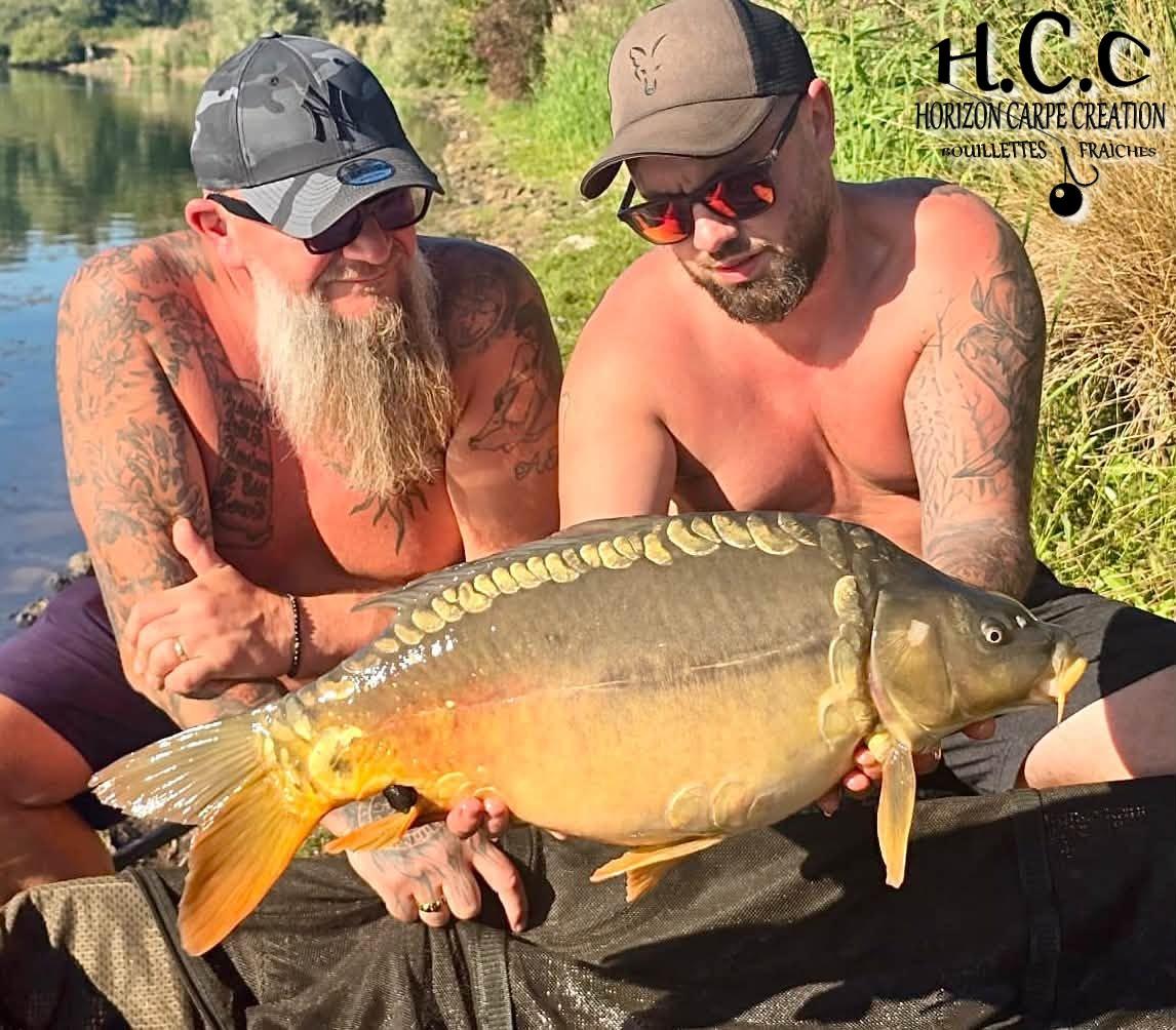 JORDAN ET CHRIS - CONSULTANTS HCC