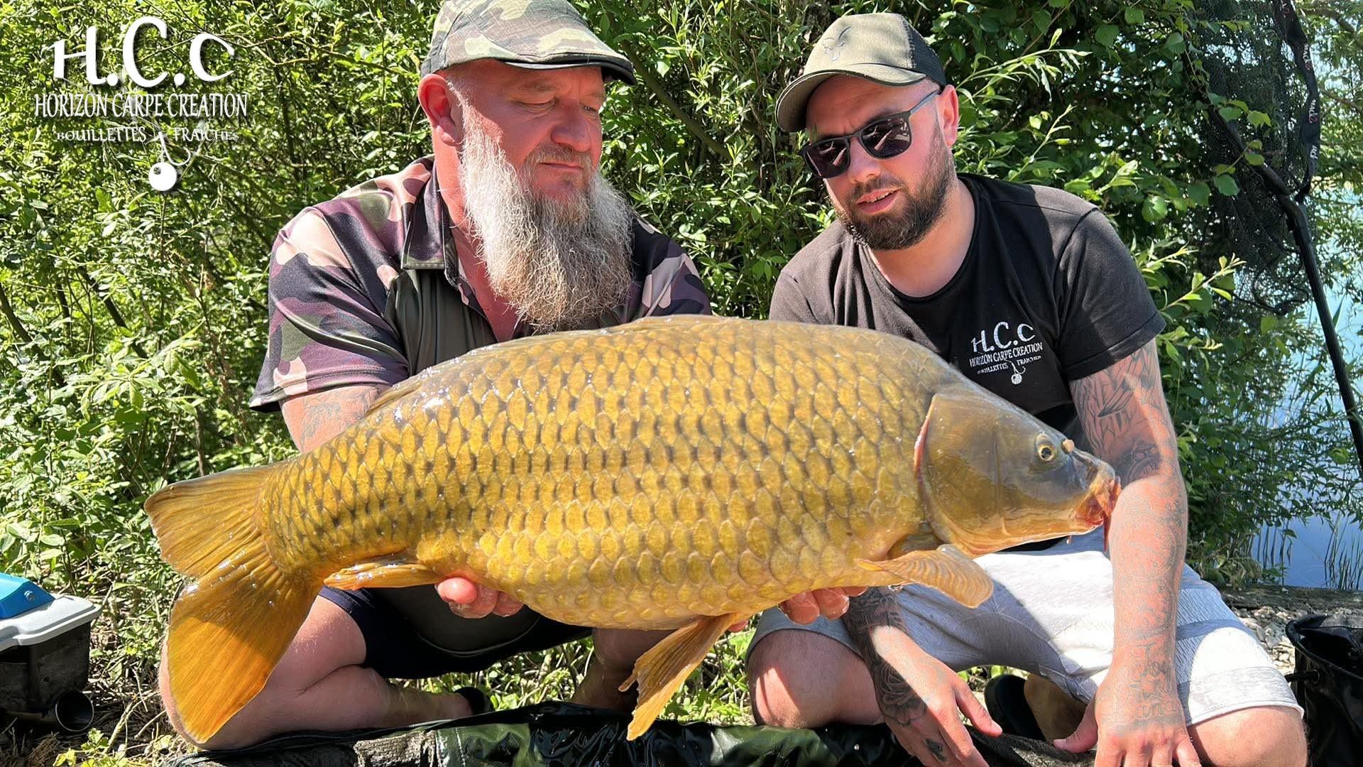 JORDAN ET CHRIS - CONSULTANTS HCC
