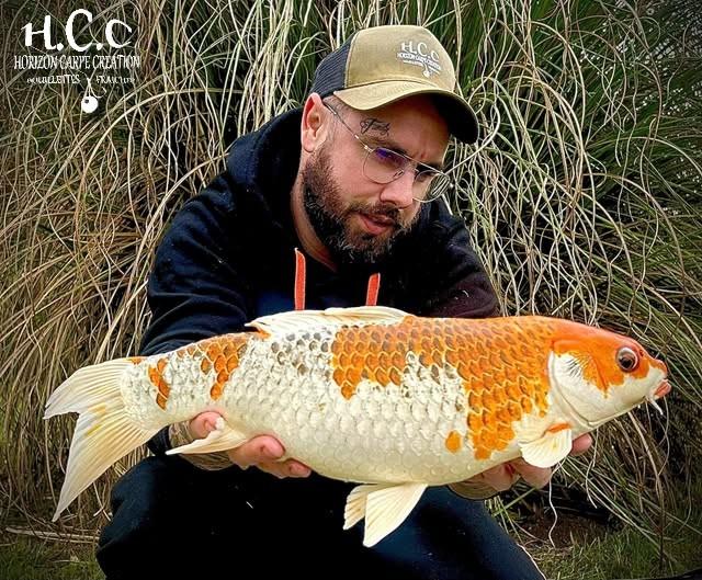 JORDAN BOULANGER - CONSULTANT HCC