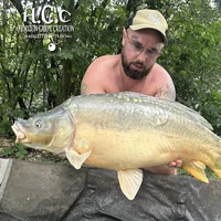 JORDAN BOULANGER - CONSULTANT HCC
