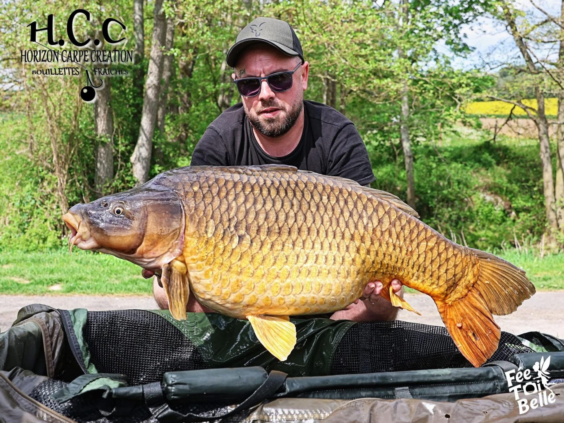 JORDAN BOULANGER - CONSULTANT HCC