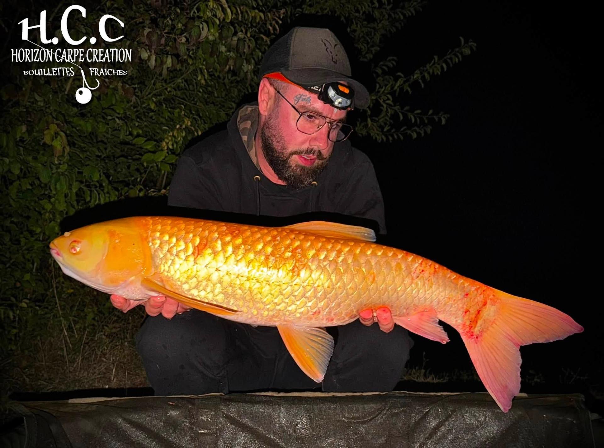 JORDAN BOULANGER - CONSULTANT HCC