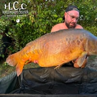 JORDAN BOULANGER - CONSULTANT HCC