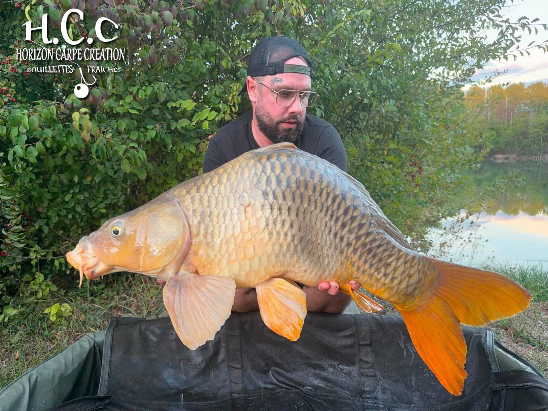 JORDAN BOULANGER - CONSULTANT HCC