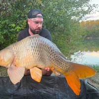 JORDAN BOULANGER - CONSULTANT HCC
