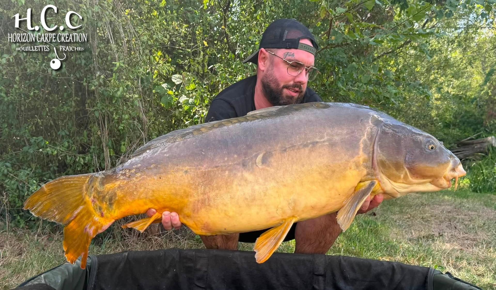 JORDAN BOULANGER - CONSULTANT HCC
