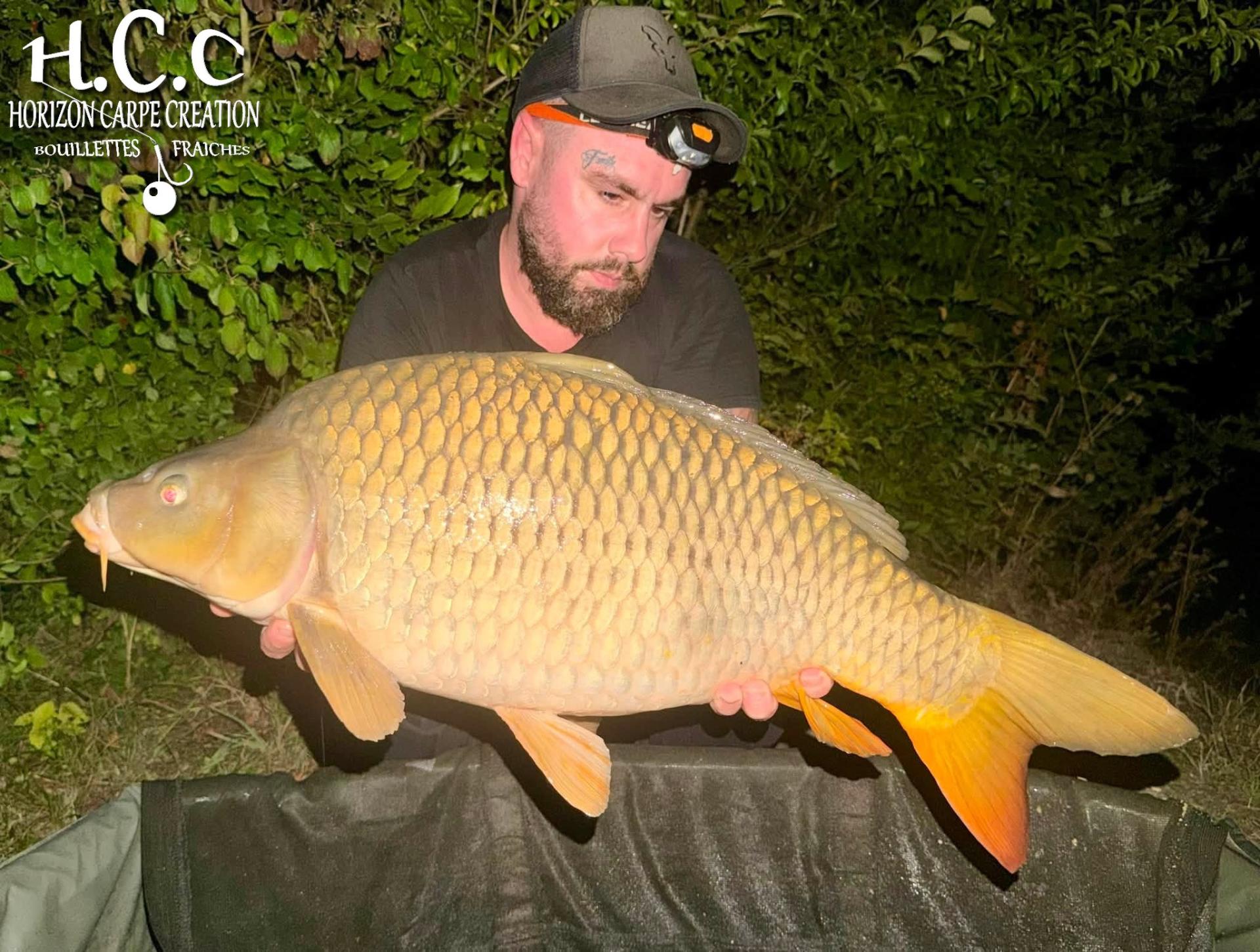 JORDAN BOULANGER - CONSULTANT HCC