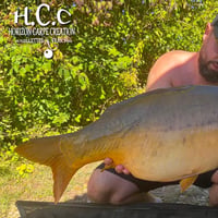 JORDAN BOULANGER - CONSULTANT HCC