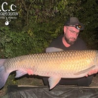 JORDAN BOULANGER - CONSULTANT HCC