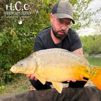 JORDAN BOULANGER - CONSULTANT HCC