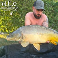 JORDAN BOULANGER - CONSULTANT HCC