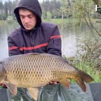 KEVIN BERNAUX - CONSULTANT HCC TEAM 45