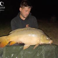 KEVIN BERNAUX - CONSULTANT HCC