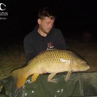 KEVIN BERNAUX - CONSULTANT HCC