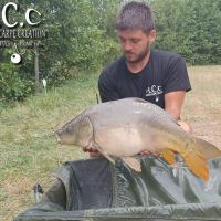 KEVIN BERNAUX - CONSULTANT HCC