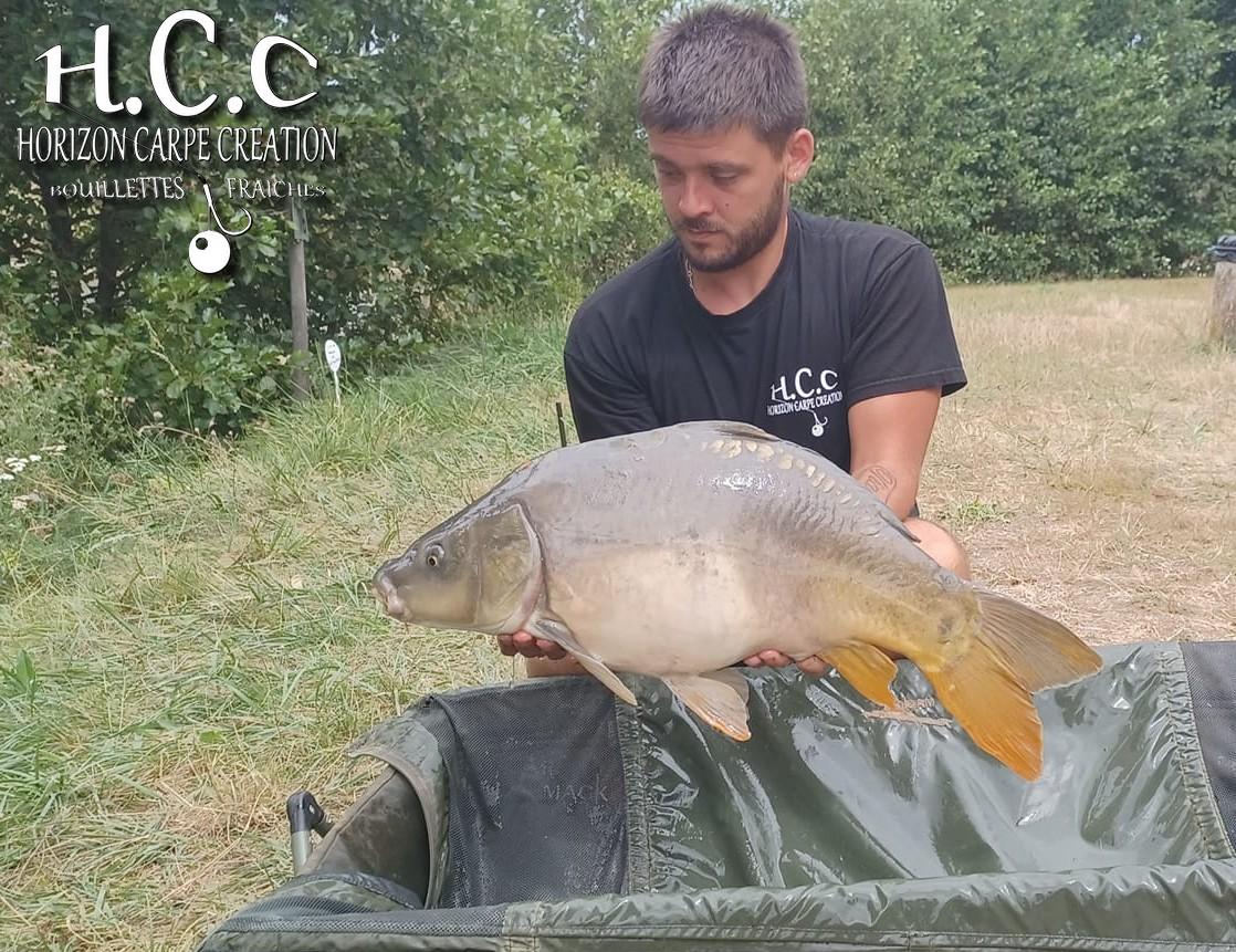 KEVIN BERNAUX - CONSULTANT HCC