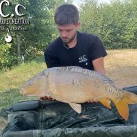 KEVIN BERNAUX - CONSULTANT HCC