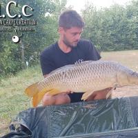 KEVIN BERNAUX - CONSULTANT HCC