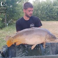 KEVIN BERNAUX - CONSULTANT HCC