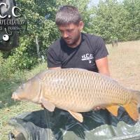 KEVIN BERNAUX - CONSULTANT HCC