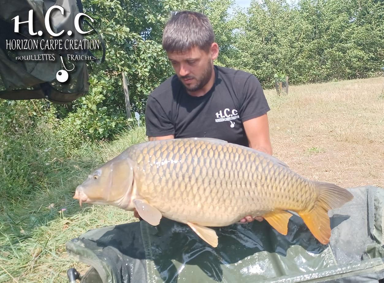 KEVIN BERNAUX - CONSULTANT HCC