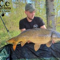 KEVIN BERNAUX - CONSULTANT HCC TEAM 45