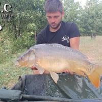 KEVIN BERNAUX - CONSULTANT HCC