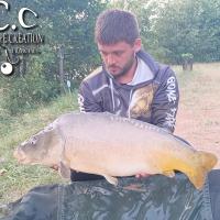 KEVIN BERNAUX - CONSULTANT HCC