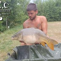 KEVIN BERNAUX - CONSULTANT HCC