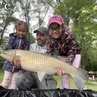 LOIC KERN - CONSULTANT HCC