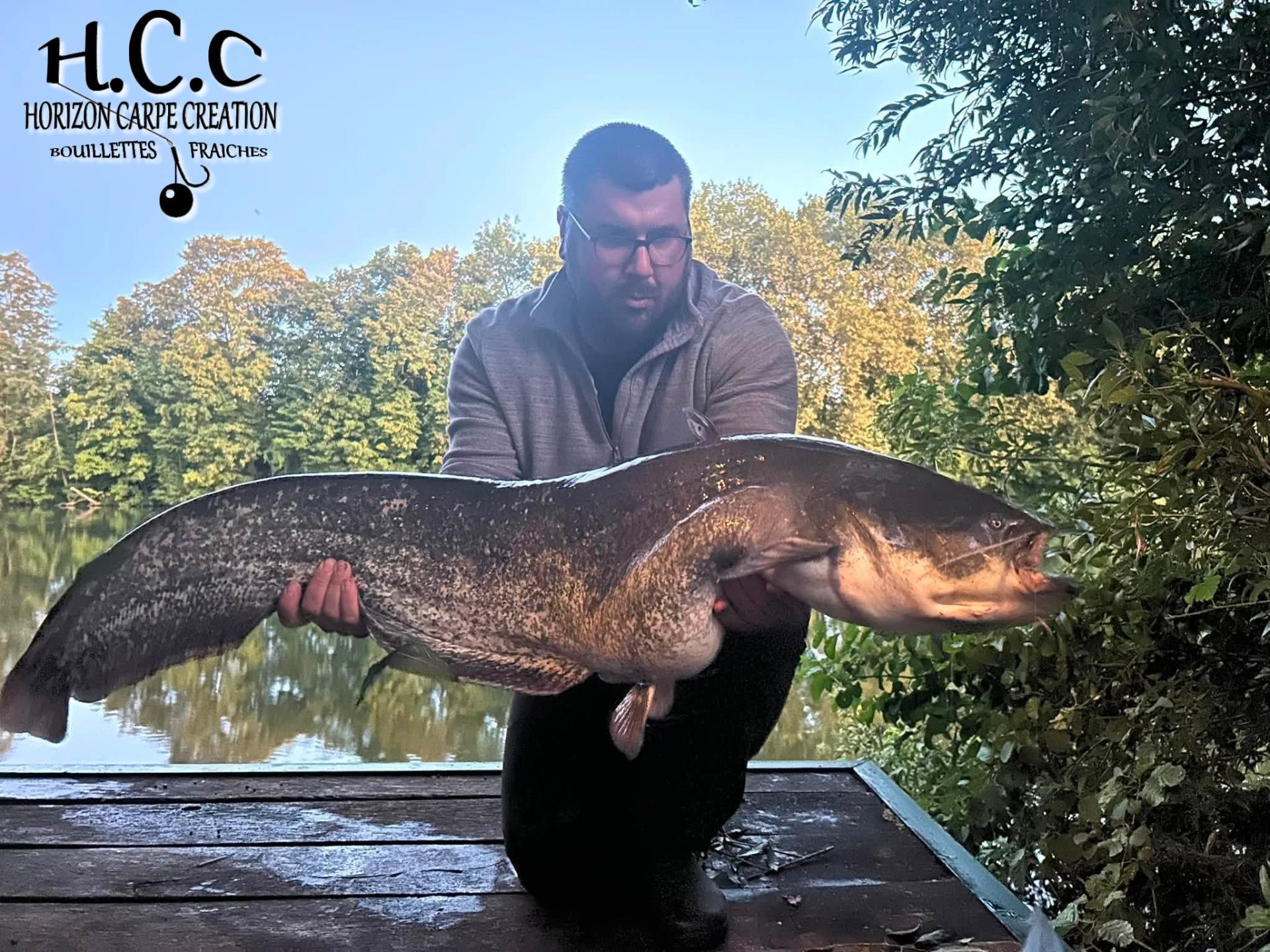 LOIC KERN - CONSULTANT HCC