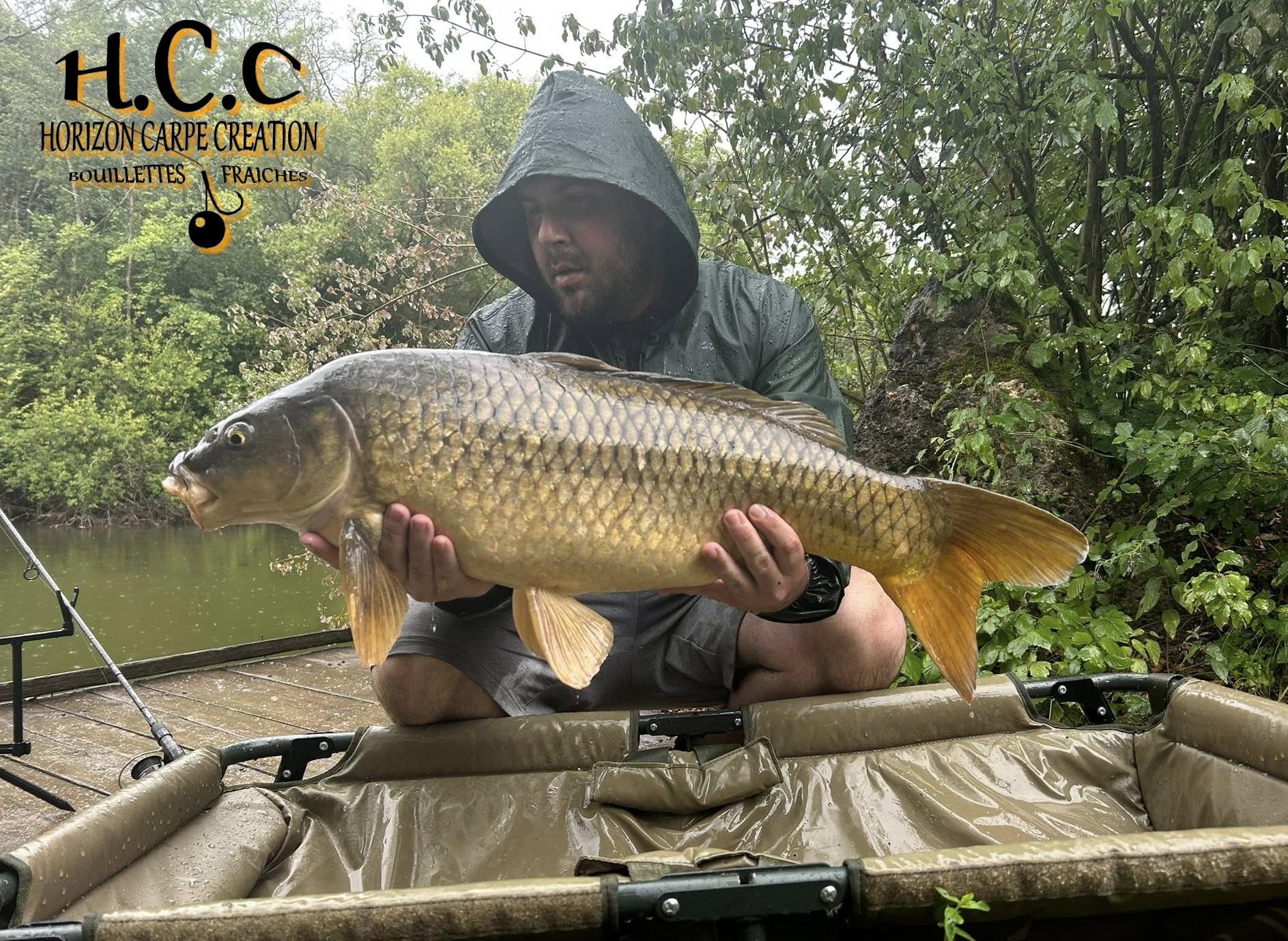 LOIC KERN - CONSULTANT HCC