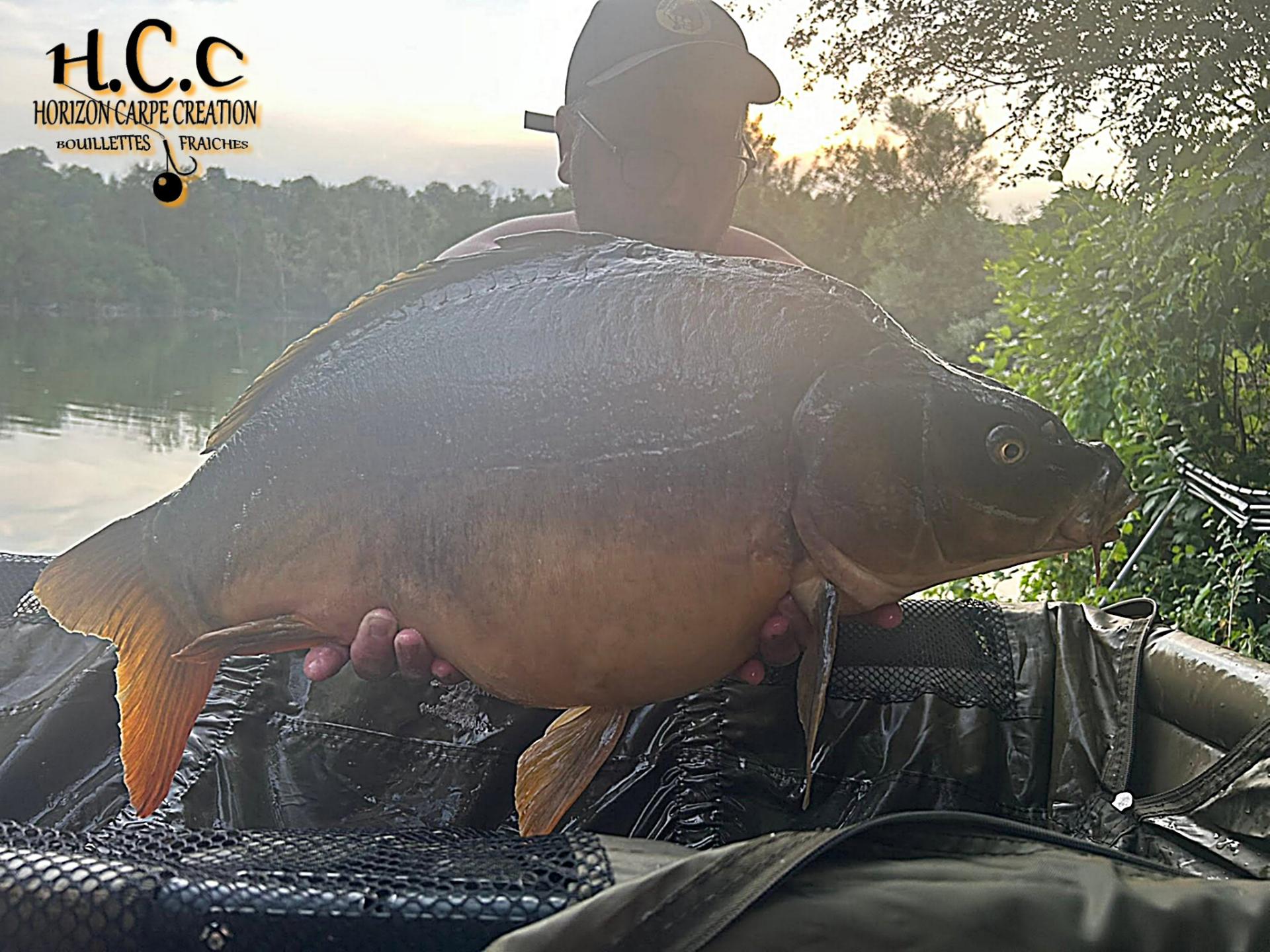 LOIC KERN - CONSULTANT HCC