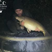 LOIC KERN - CONSULTANT HCC