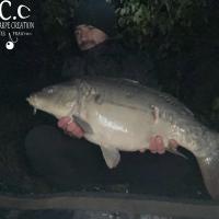 LOIC KERN - CONSULTANT HCC