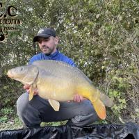 LOIC KERN - CONSULTANT HCC