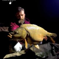 LUK DHOTEVANPOUCKE - CONSULTANT HCC