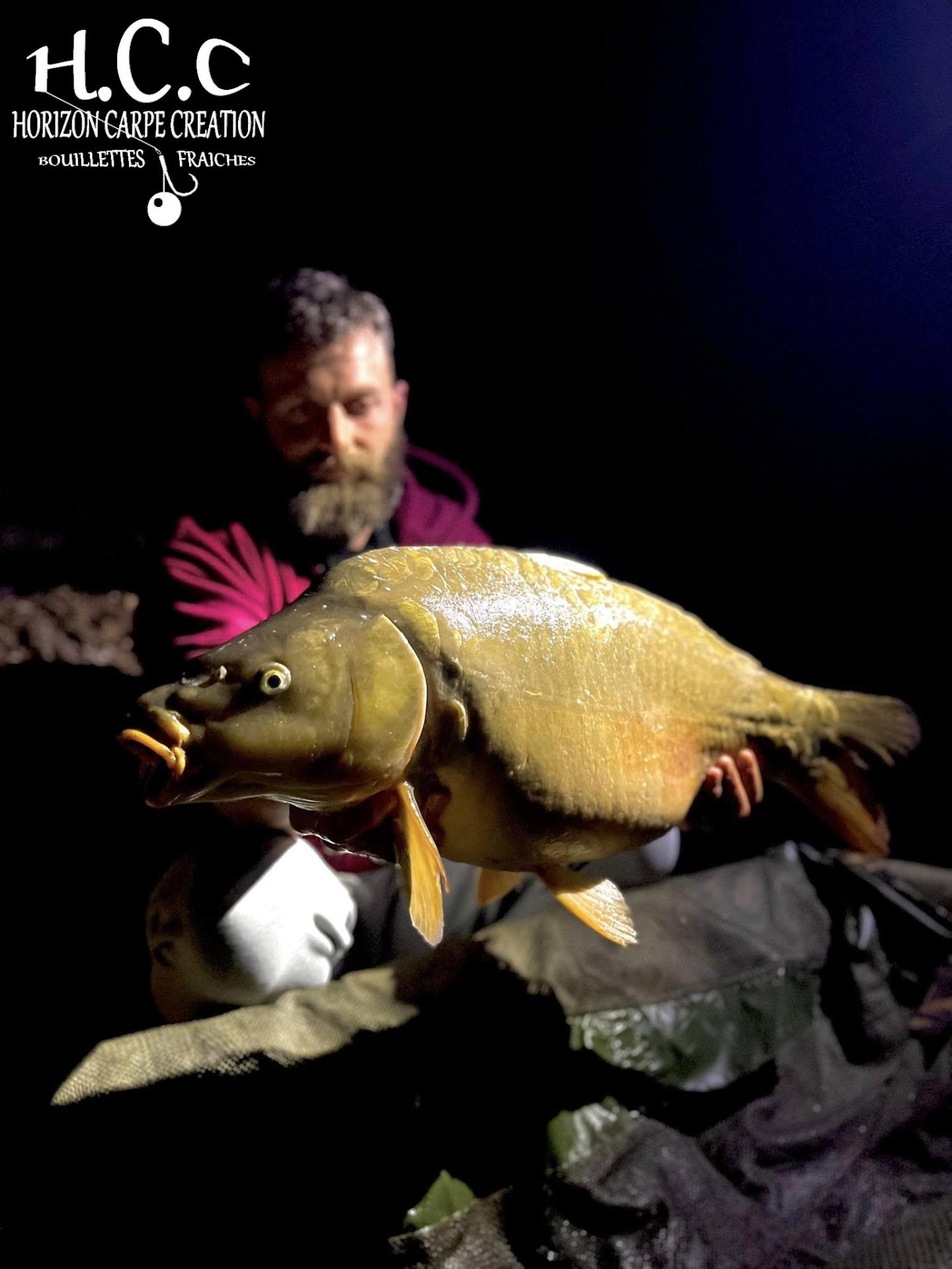 LUK DHOTEVANPOUCKE - CONSULTANT HCC