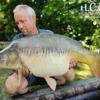 MANU NACQUEMOUCHE - CONSULTANT HCC