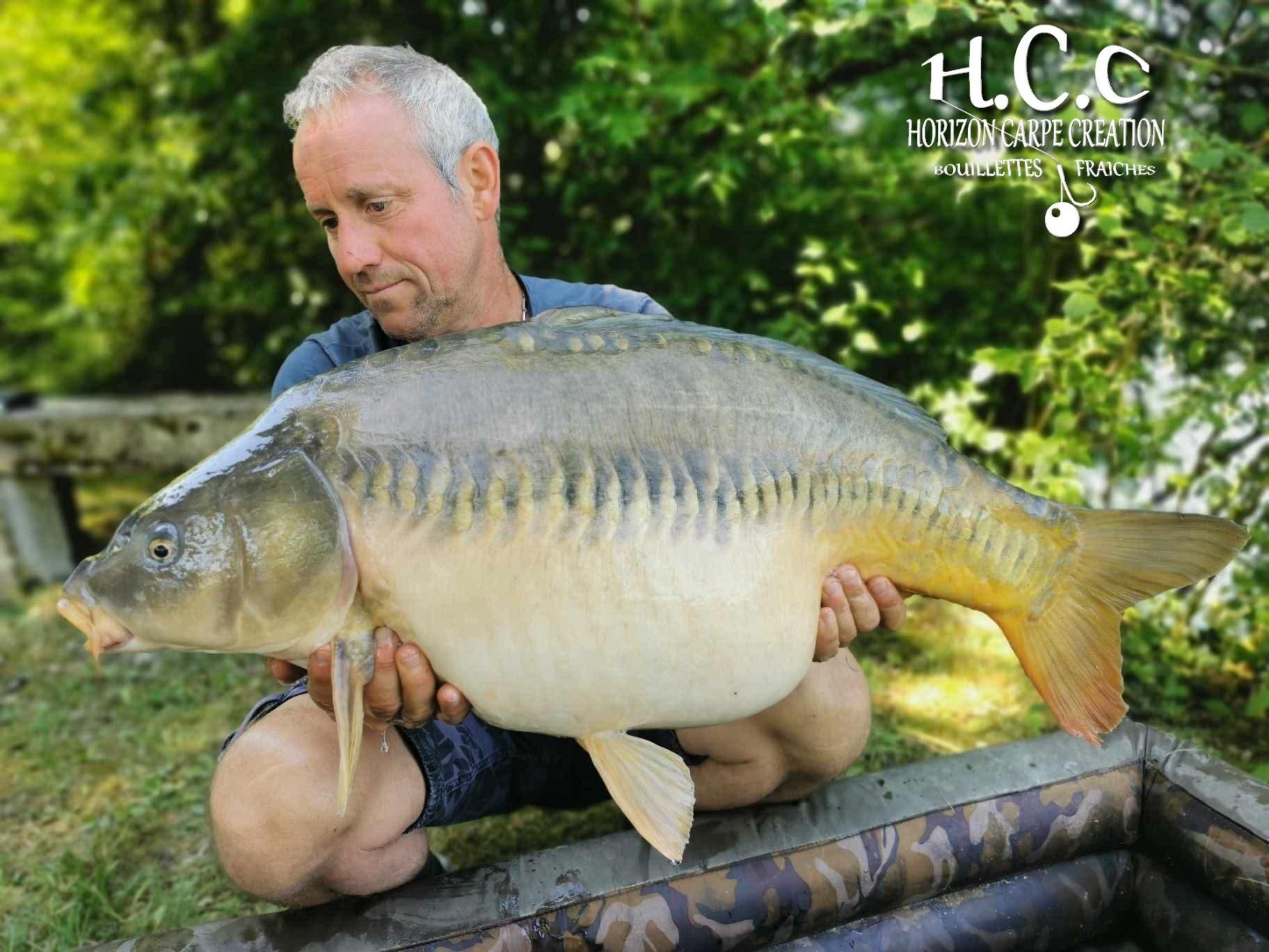 MANU NACQUEMOUCHE - CONSULTANT HCC