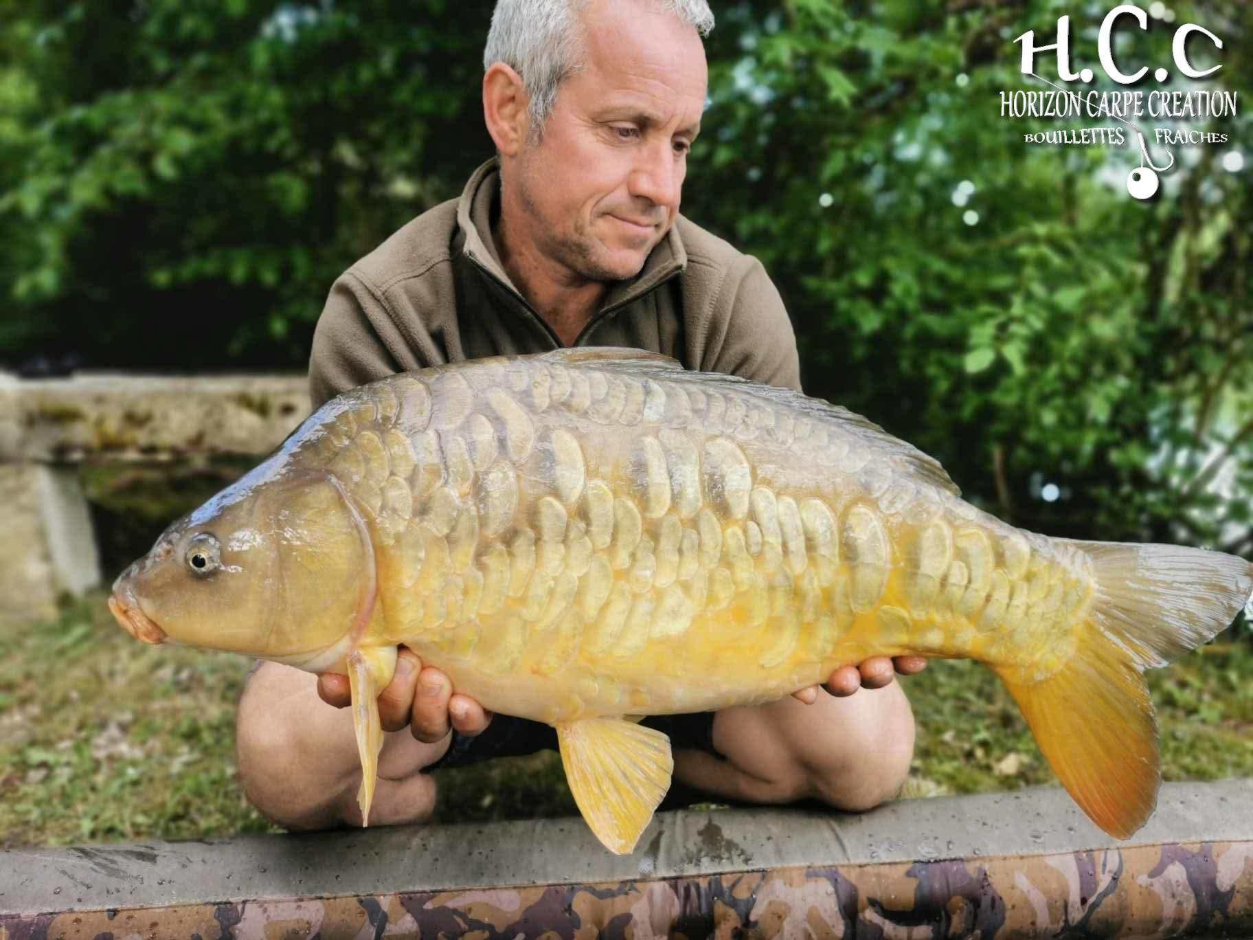 MANU NACQUEMOUCHE - CONSULTANT HCC